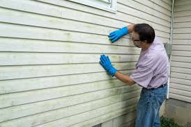 Affordable siding repair and maintenance services in Sacaton, AZ